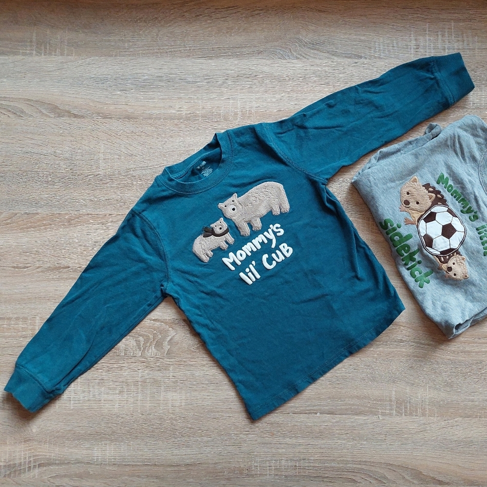 Gymboree 5T bear / hedgehog tees - Picture 3 of 16